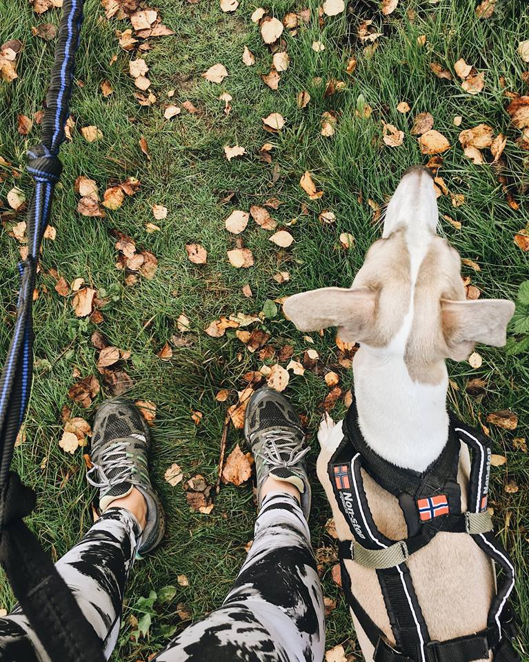 With the daily exercise we get through our dogs, it's easy to get involved in the #onyourfeetbritain initiative today.
Explore that trail that you haven't been down yet or take a different path on your canitrek?
Where will your Thursday take you?
#sitless #movemore  #canicross