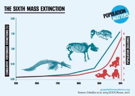 tamraraven's tweet photo. RT #K12 help #youthlead. @ESG_SDG @SDGaction @SDG2030 time to act locally #spatialthink #10km3x2
#biodiversity verified local #carbontax | act to buffer #ClimateChange #ecologjcalrestoration @Fridays4future #ThursdayMotivation https://t.co/tDGOJLlRWW