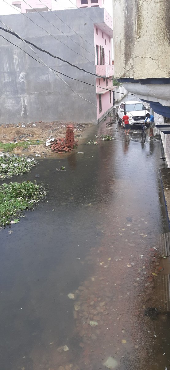 rawal_urmila's tweet photo. House are getting weak day by day.
I request @PMOIndia @CMOfficeUP @myogiadityanath @News18UP @narendramodi @Bjp4Lmp @DmKheri @INC_Kheri @Lakhimpur @AmitShah @BJP4India @OpIndia_com @TajinderBagga to take strict action against it .The whole water is covered with water hyacinth. https://t.co/4KogURiK8Z