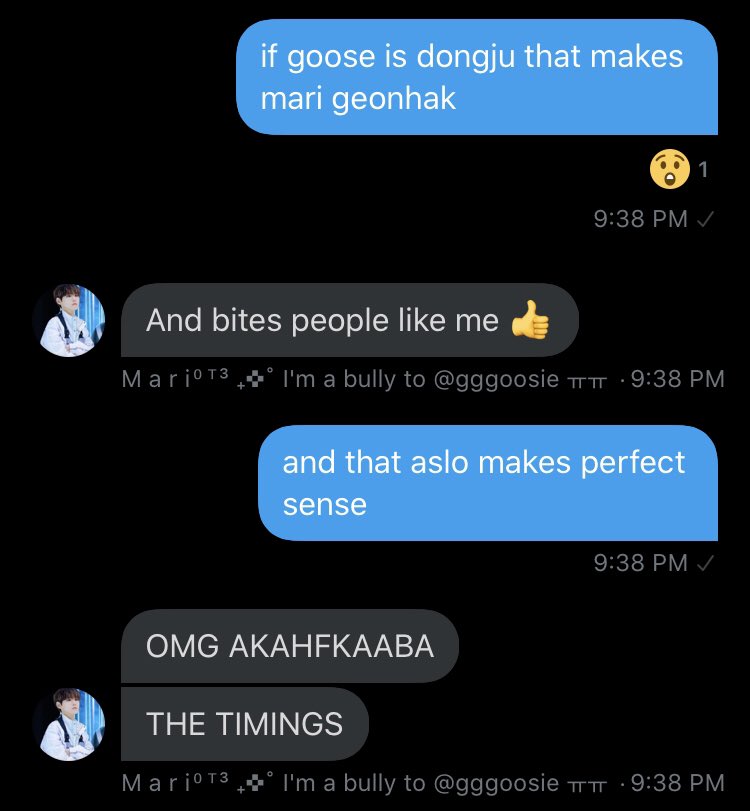 this is when i concluded goose is dongju and mari is geonhak