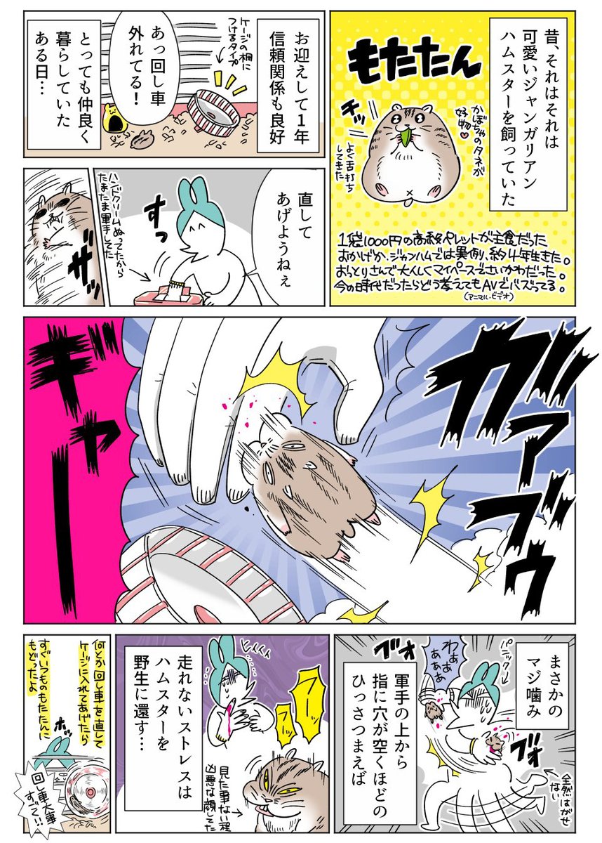 昔飼ってたジャンガリアンハムスターの話
#コミックエッセイ #ペット #漫画が読めるハッシュタグ 