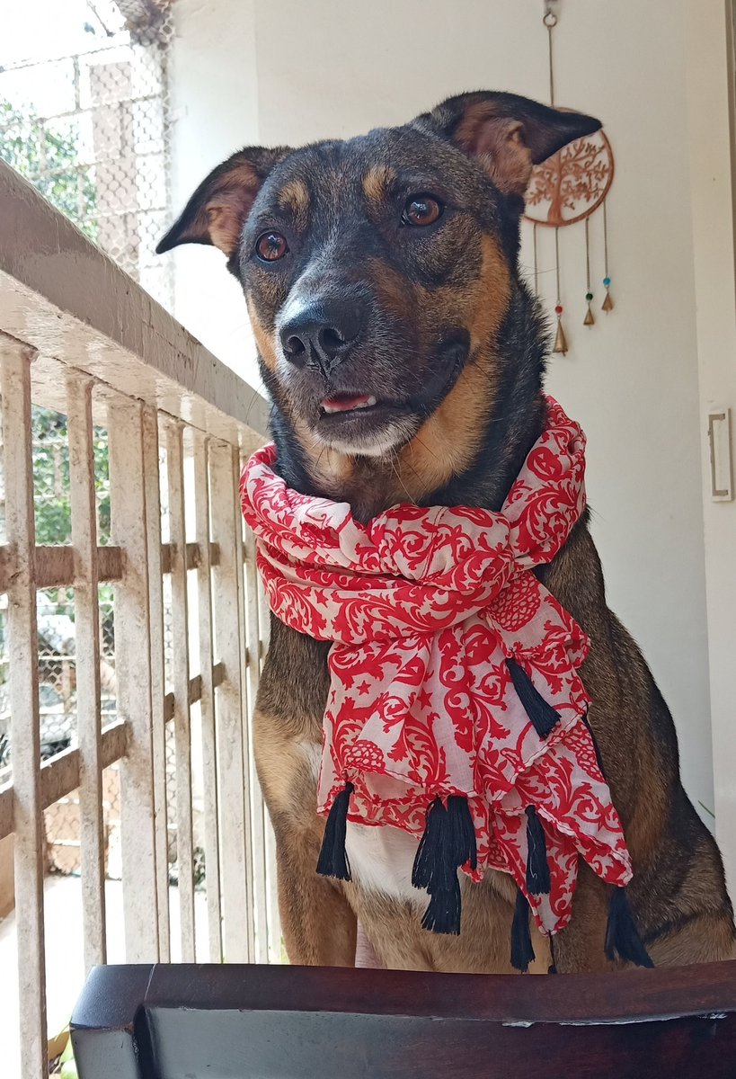 Bappi Rao tweet media