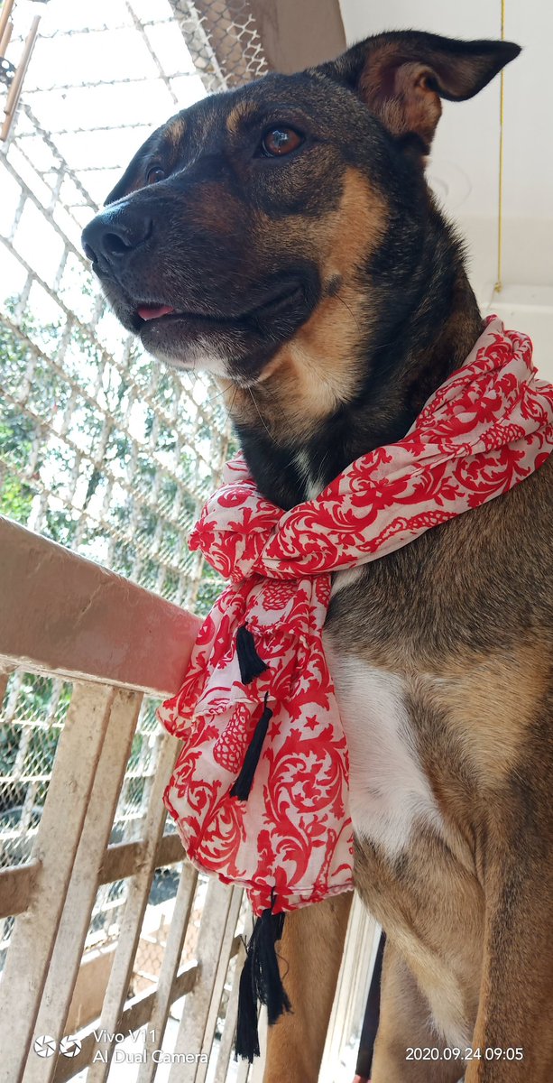 Bappi Rao tweet media