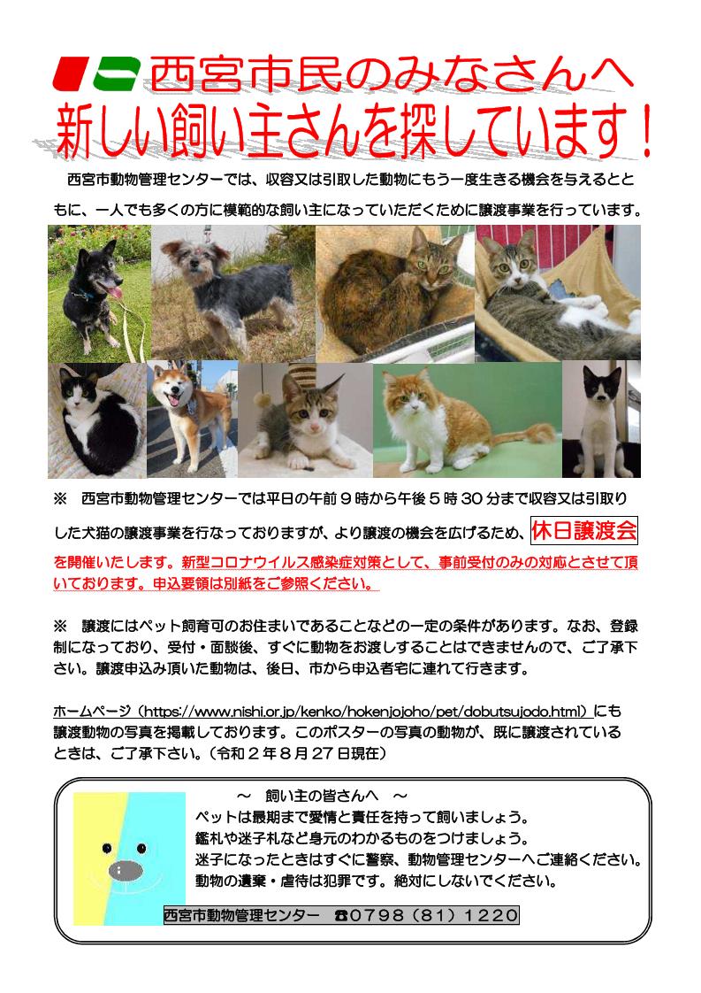 兵庫県西宮市役所 あなたを待っている動物たちがいます 西宮市動物管理センターでは収容又は引取りした動物について新しい飼い主を募集しています この度 10 11 日 10 00より休日譲渡会を実施します 新型コロナウイルス感染症対策として 事前受付