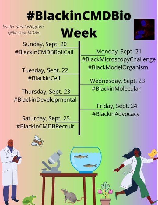 KimTuckerHood's tweet photo. It's Day 5 of #BlackinCMDBio week, today's theme is #BlackInDevelopmental. See @BlackinCMDBio for more information. https://t.co/vEI59RV9Be