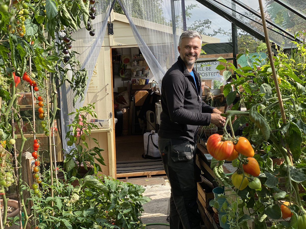 RobsAllotment photo