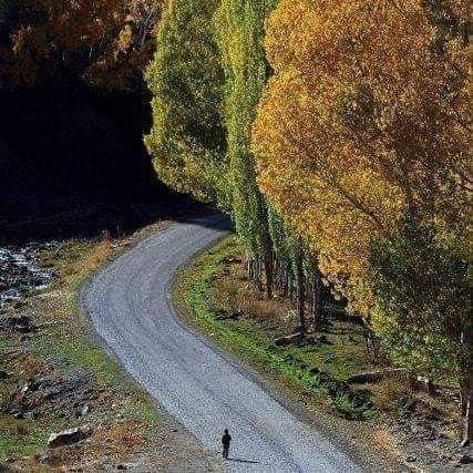 Seℓamün Aℓeyküm

Aℓℓah'ım;
Hastaℓarımıza şifa,
Rızkımıza boℓℓuk,
Ömrümüze bereket,
Üℓkemize huzur, Miℓℓetimize sağℓık versin inşaAℓℓah. AMİN.

                   Hayırℓı  Sabahℓar
Sağℓıkℓı Günℓer

#BAHÇEsaray /Van