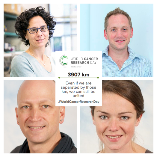 IRB Barcelona (@irbbarcelona) on Twitter photo #IRBBarcelona researcher <a href="/nlbigas/">Nuria Lopez-Bigas</a> also joins #WorldCancerResearchDay with her 👩🔬🧑🔬colleagues <a href="/S_J_Aitken/">Sarah Aitken</a> at <a href="/CRUK_CI/">CRUK Cambridge Institute</a>, <a href="/mst_paralogue/">Martin Taylor</a> at <a href="/EdinburghUni/">The University of Edinburgh</a> & Duncan Odom at @odom_lab.
Because there are no distances and that we can all make a single team! 🙌
#CancerResearch #IRBBarcelona researcher <a href="/nlbigas/">Nuria Lopez-Bigas</a> also joins #WorldCancerResearchDay with her 👩🔬🧑🔬colleagues <a href="/S_J_Aitken/">Sarah Aitken</a> at <a href="/CRUK_CI/">CRUK Cambridge Institute</a>, <a href="/mst_paralogue/">Martin Taylor</a> at <a href="/EdinburghUni/">The University of Edinburgh</a> & Duncan Odom at @odom_lab.
Because there are no distances and that we can all make a single team! 🙌
#CancerResearch