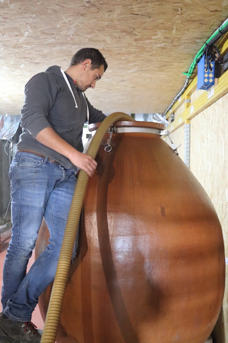Début d'automne...
Les vinifications battent leur plein au domaine ! Après la récolte, les fermentations ont commencé, on entend frémir le jus dans les cuves et une bonne odeur de vin nouveau imprègne toute la cave ! 😉🍷
#Muscadet #VignobledeNantes