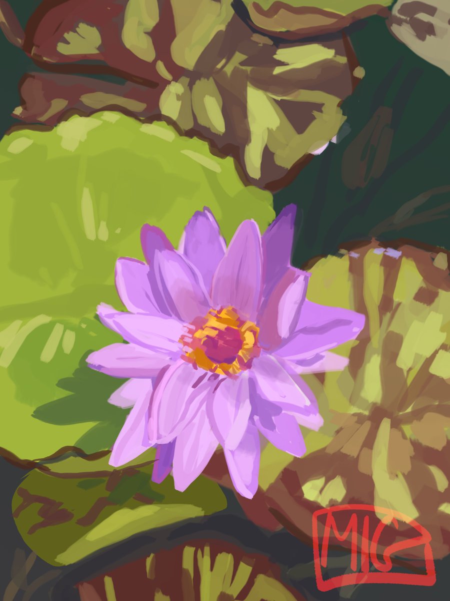 t3t0bean's tweet photo. Water Garden Study 3
idk how to paint flowers lmfao
-
-
-
#1hour1layer #digitalpainting #t3t0bean https://t.co/9apQQrQuPX