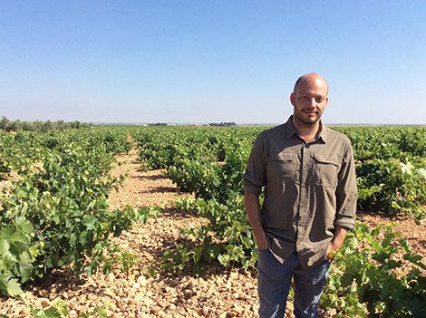 In an area dominated by large cooperatives and huge volumes of wine, a handful of small producers are recovering forgotten grape varieties. These are some of the new names to follow in #CastillaLaMancha: ow.ly/PozW50BzK4x