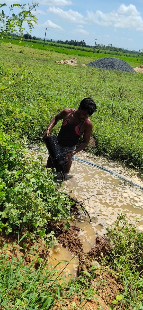 knkmeeseva1's tweet photo. Kothagudem block, chatakonda GP,CVE:K NARESHKUMAR@dintya15
@CSCeGov
@rsprasad
@rajakishore_j
@prakhar28274
@wifichoupal
@CSCTelangana
#ghartakfibre
#CSCTS https://t.co/oXY75JvtIx