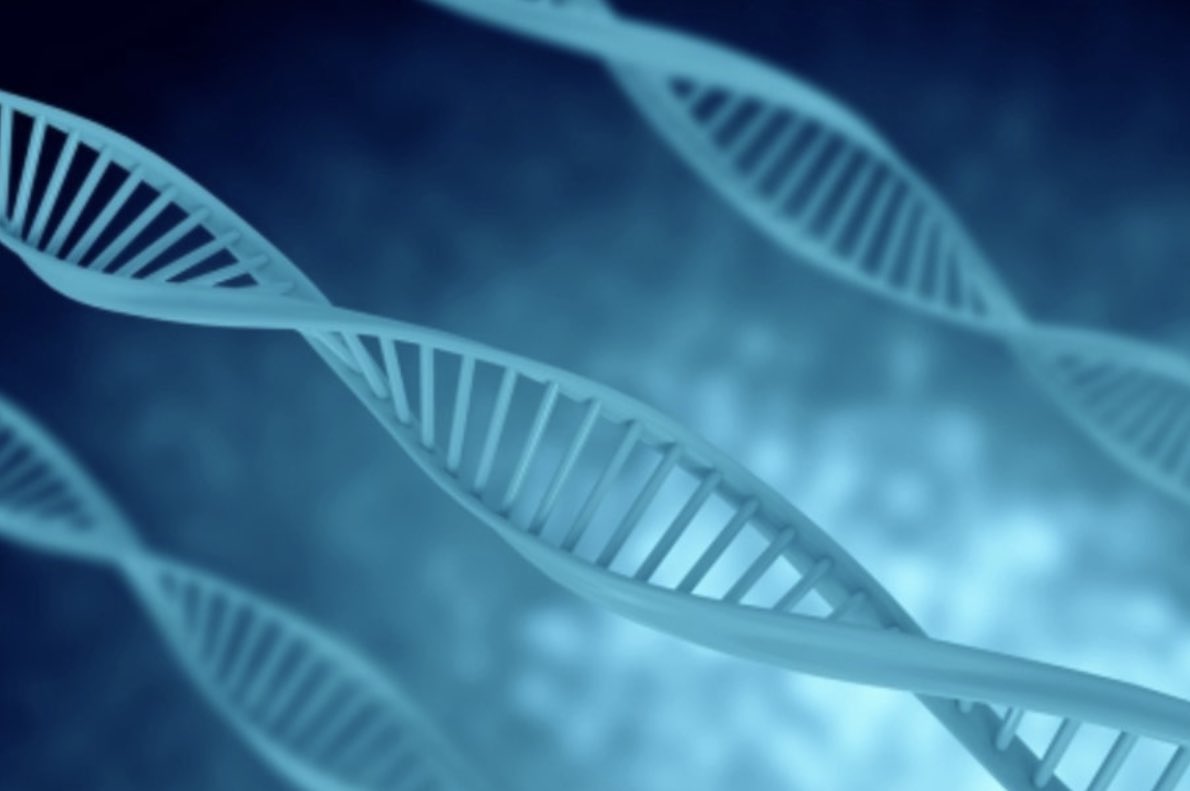 PrimeTimeCrime_'s tweet image. NEW EPISODE 🎧 apple.co/3iP276y What role does ~your own~ genetic testing play in identifying crime suspects? Listen to our 3-part series on #DNA evidence &amp;amp; how it's used in solving even cold case crimes. @DNALabsInt_ #truecrimepodcast #truecrime