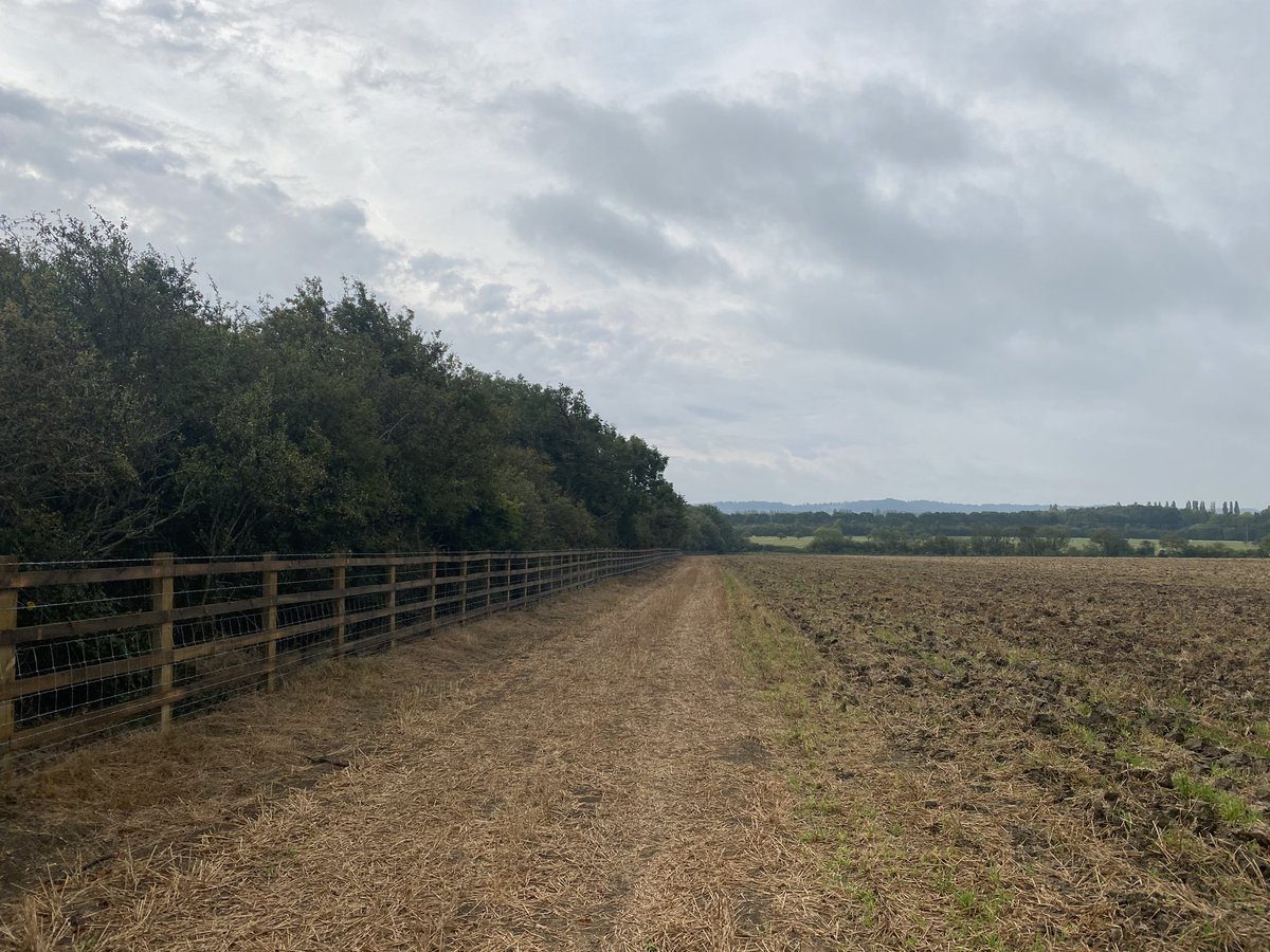 FencingUK's tweet photo. Fencing Contractors Uk Ltd another 700 m of post and rail fencing installed.   #fencing  #contractors  #construction  #maintenance  #highways https://t.co/RL2F4jOx9Q