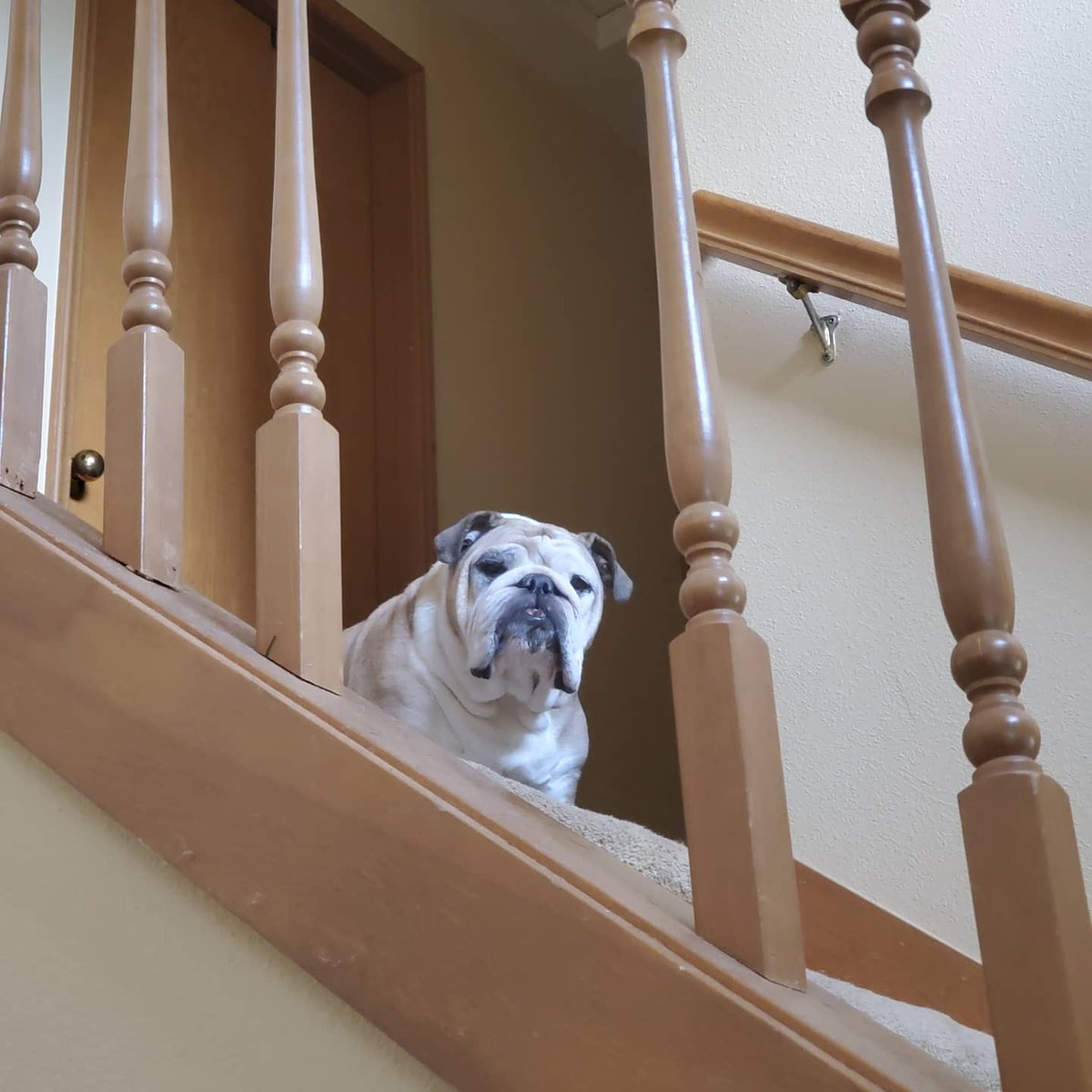 depth175's tweet image. My lil homie...