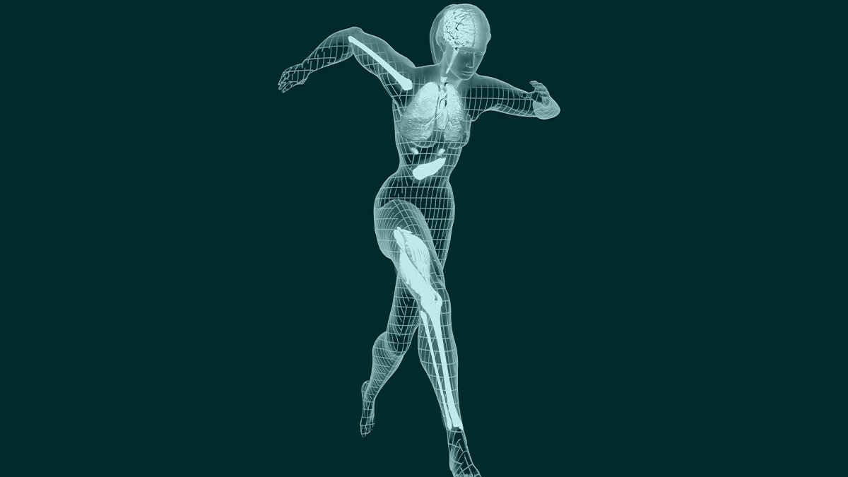 The Physiological Society (@thephysoc) on Twitter photo ️Can exercising before #menopause optimise health in later years? New research published in <a href="/JPhysiol/">Journal of Physiology</a> reveals that capillary growth can suffer as estrogen levels fall post menopause. Read more here: buff.ly/2ExckWY ️Can exercising before #menopause optimise health in later years? New research published in <a href="/JPhysiol/">Journal of Physiology</a> reveals that capillary growth can suffer as estrogen levels fall post menopause. Read more here: buff.ly/2ExckWY