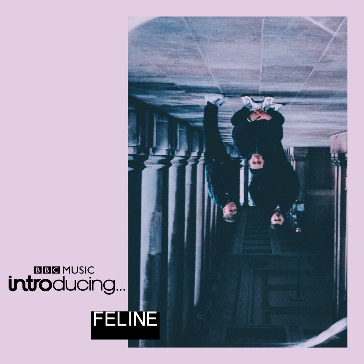 BBCIntroSouth's tweet photo. 📢🎶🎧 Hear two @bbcintroducing featured artists tonight 8-10pm with @kathycaton on @BBCSurrey  @BBCSussex @BBCSounds

😺 Listen 8-9pm to hear Shoreham's @TALKSLOW1 with 'Feline'

🎼 Listen 9-10pm to hear Brighton's @IVImusicUK with '23' https://t.co/ZAjggvwktr