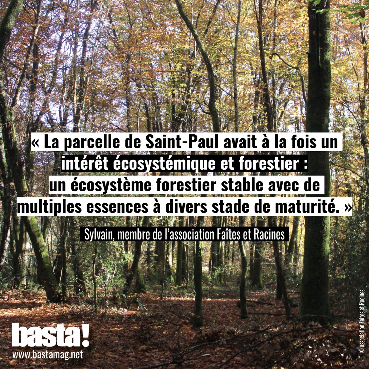 En septembre 2018, l’association découvre une pépite de  #biodiversité sur la commune de Saint-Paul. Un particulier, ancien maire de la commune, y met en vente un bois de 8,5 ha. Le vendeur se dit «intéressé de vendre à ces jeunes sympathiques qui ne [veulent] pas couper».