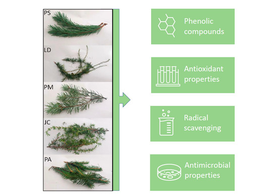 'Identification of #polyphenols from #coniferous shoots as natural #antioxidants and #antimicrobial compounds' by researchers from our faculty and UPP in @Molecules_MDPI: mdpi.com/1420-3049/25/1…
#wltdpoznan #phytochemicals #coniferoustrees #bioactivecompounds