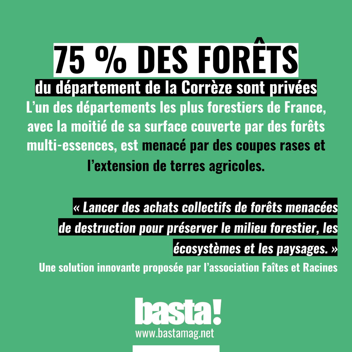 La Corrèze est l’un des départements les plus forestiers de France. Pour tenter de préserver le milieu forestier, l’association Faîte et Racines, créée en juillet 2018, propose de « lancer des achats collectifs de forêts menacées de destruction » grâce aux dons de particuliers.
