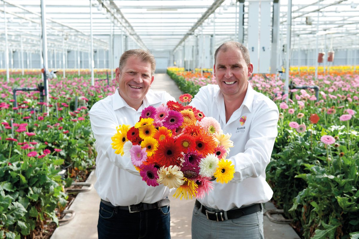 This month the Gerbera and the growers behind this beautiful product deserves some special attention. Together with Coloured by Gerbera we share inspiration and present the new collection.