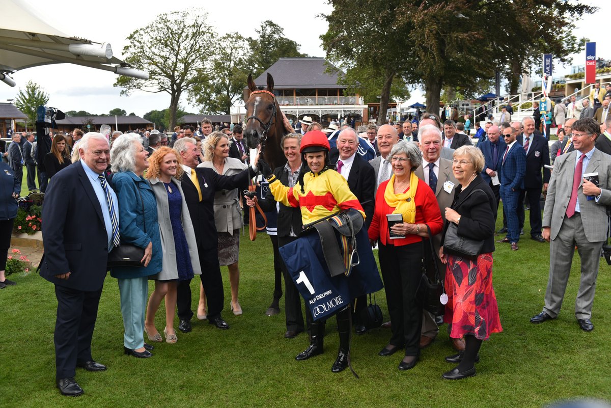 BryanSmartRacin's tweet photo. After the most incredible career Alpha Delphini has been retired. He will enjoy his retirement here at Hambleton House where a new career in @RoRlatest showing classes beckons. A big thank you to Alpha himself and his lovely owners! #AlphaDelphini #Nunthorpewinner #Oneinamillion https://t.co/T8LRcJkzeV