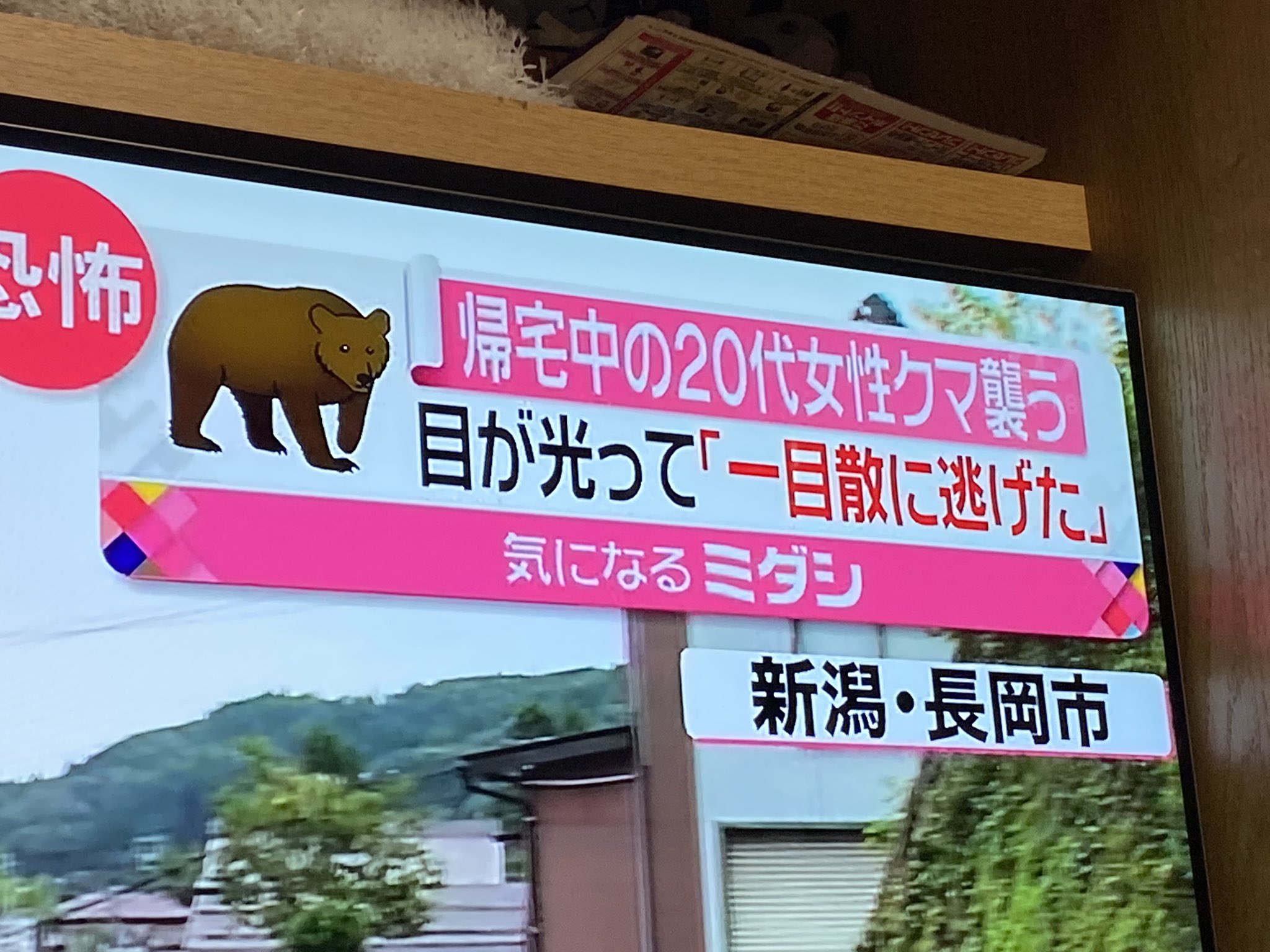 書き方おかしくない 帰宅中の代女性クマ襲う 話題の画像プラス