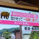 書き方おかしくない？「帰宅中の20代女性クマ襲う」？？