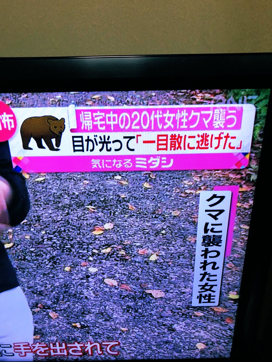 fon_1026's tweet photo. 20代女性クマ襲う……？
20代女性、クマ襲う😬💦⁉️ https://t.co/Cpjm9WHJNe