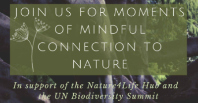 Nature4Climate tweet media