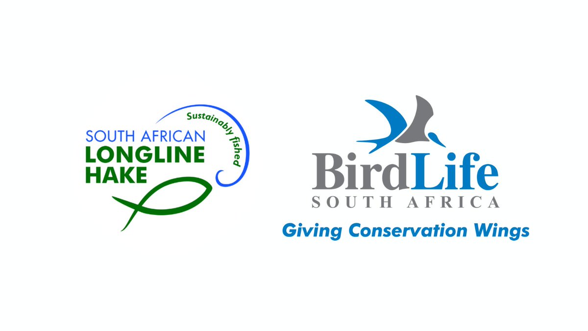 One Size does not fit all: a successful collaboration with South African Hake Longline Association members to adapt and improve seabird bycatch mitigation measures. By Andrea Angel - Birdlife South Africa.#ConservationConversations Read more: sahlla.co.za/one-size-does-…