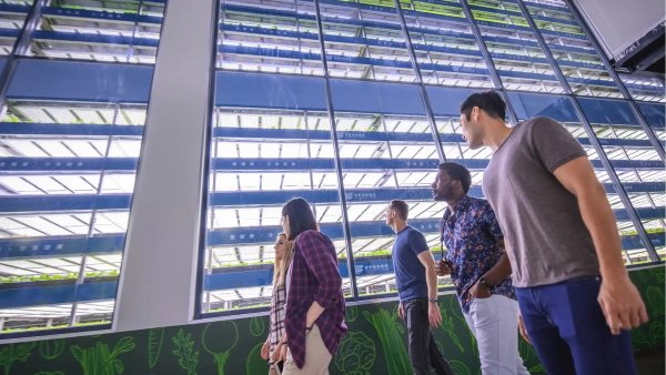 Vertical Farming World Congress kicks off with remote site visits

#led #ledlight #ledgrowlights #growlight #greenhouse #ledgrowlight #verticalfarming #ledgrowlight #indoorgrow #hemp #growers #medicalcannabis #medicalcannabis #cannabis #horticulturelight #horticulturelight