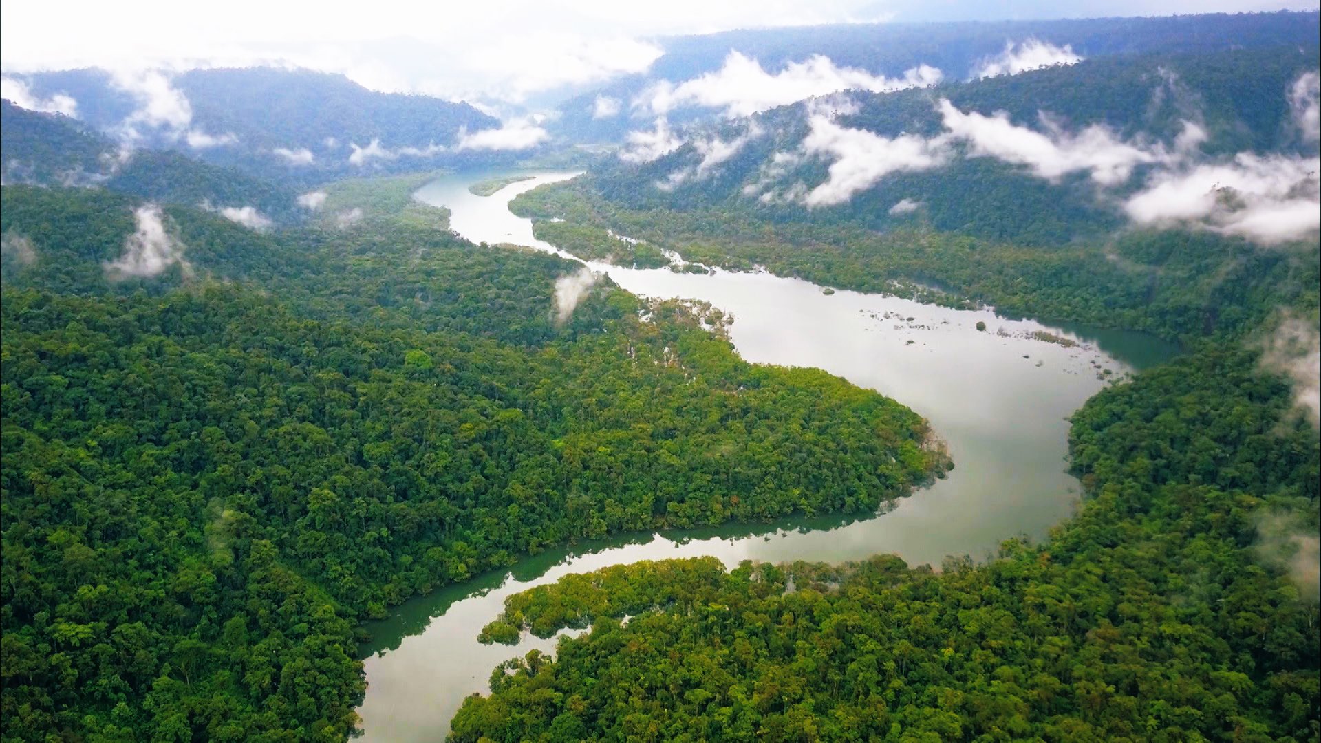 Uzivatel 世界遺産 Na Twitteru サンガイ山はアマゾン川の上流域にあります 川からの湿気を帯びた空気が雲となり サンガイ山へと流れていきます 写真 この雲が 山中に不思議な景観を生みました 世界遺産 エクアドル アマゾン アンデス 雲 T Co