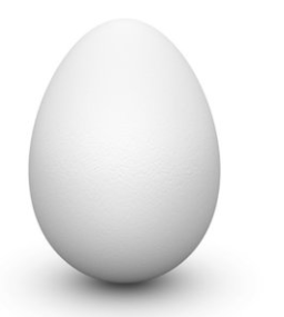 Mercede50227724's tweet photo. Secuencia de como un pollito rompe el huevo. https://t.co/vSnFoB0dVz