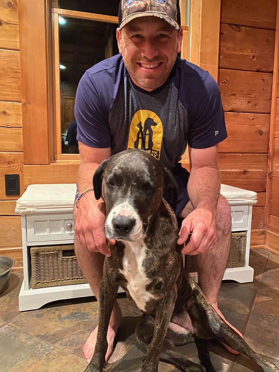 Ryan Newman tweet media