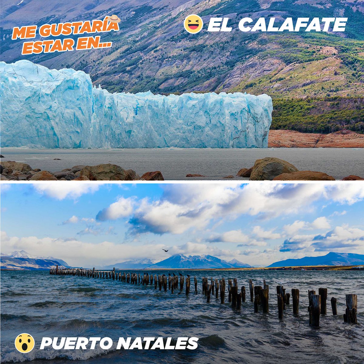 bus_sur's tweet photo. Nosotros en todos lados, pero anhelamos volver a recorrer las rutas junto a ustedes.
#bussur #memesvirales #memesbussur #patagonia #magallanes #chile #viajes #covid19 #buses https://t.co/IX2yq7UDm0