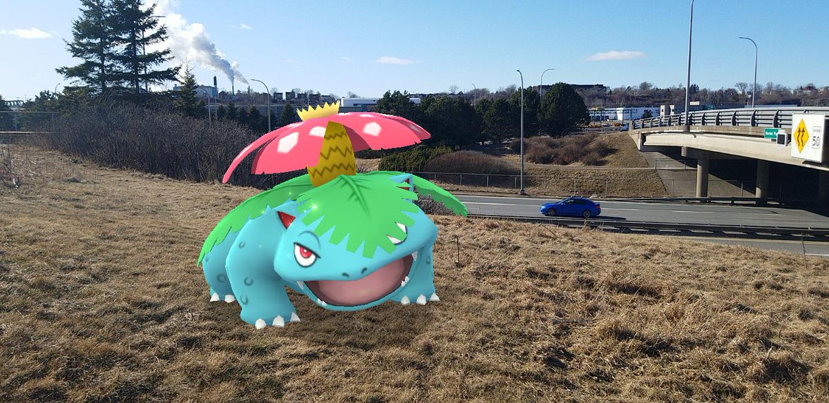 Sprout's and my patience eventually paid off, as once enough time had passed, we finally started to see some bright green grass returning to the fields for my  #Venusaur to use for his  #GOSnapshot backgrounds! #PokemonGO  #PokemonGOARplus  #PokemonGOBuddy