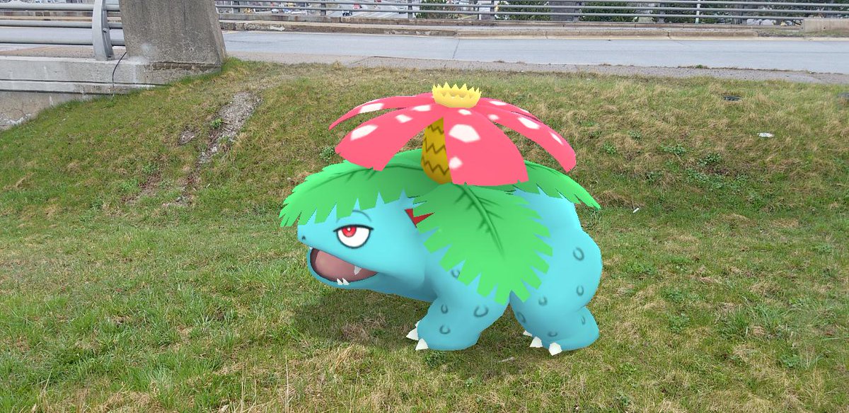Sprout's and my patience eventually paid off, as once enough time had passed, we finally started to see some bright green grass returning to the fields for my  #Venusaur to use for his  #GOSnapshot backgrounds! #PokemonGO  #PokemonGOARplus  #PokemonGOBuddy
