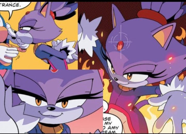 🍁🔥 Gᗩᗷᔕ ᔕᗩᗰ🔥🍁 on Twitter: "*Blaze and gardon, 5 minutes after Sonic  leaves her dimension:… "