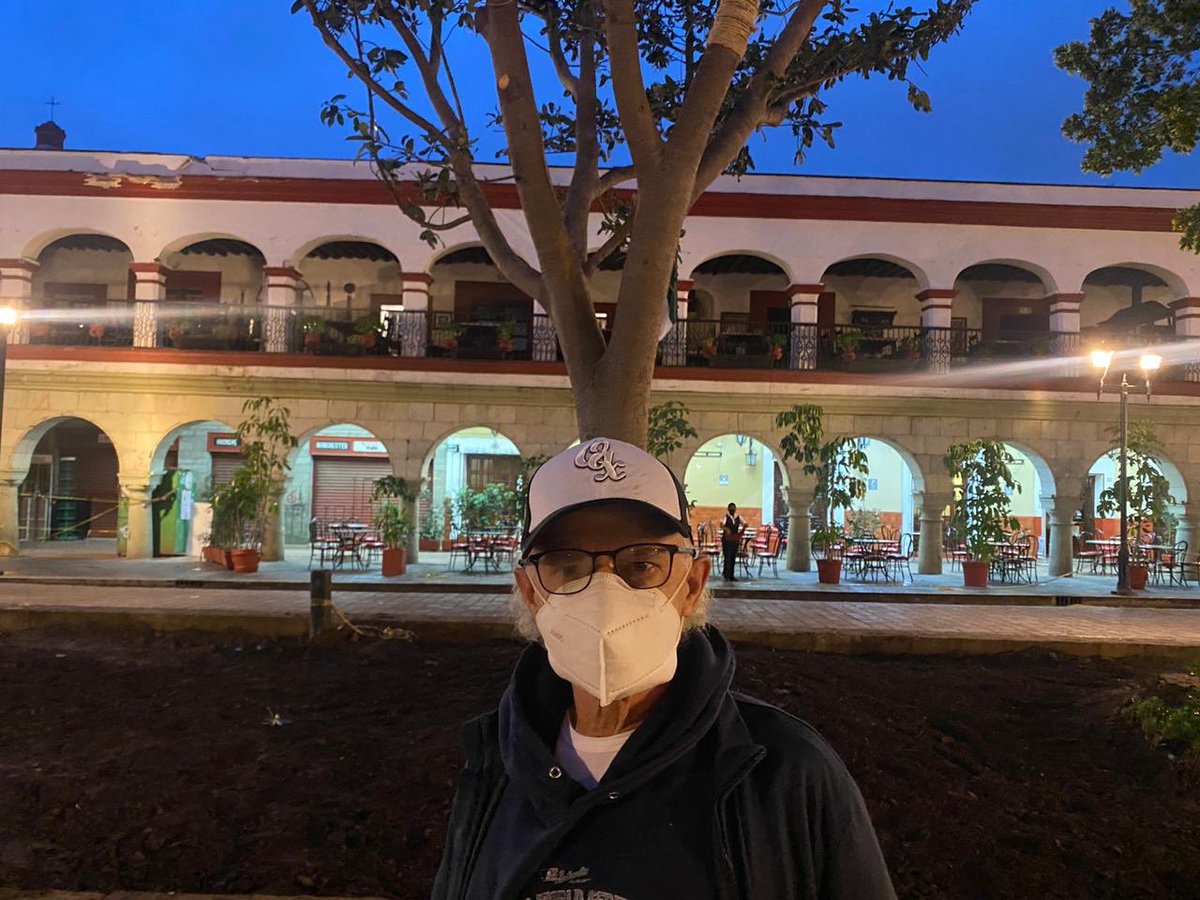 alfredoharphelu's tweet photo. Un nuevo hogar para esta hermosa higuera, amate  prieto en la plaza más hermosa de la ciudad. Vale la pena el esfuerzo, #Oaxaca lo merece. Excelente trabajo @FundacionAHHO @MAmbienteFAHHO https://t.co/tZeVd1iOQd