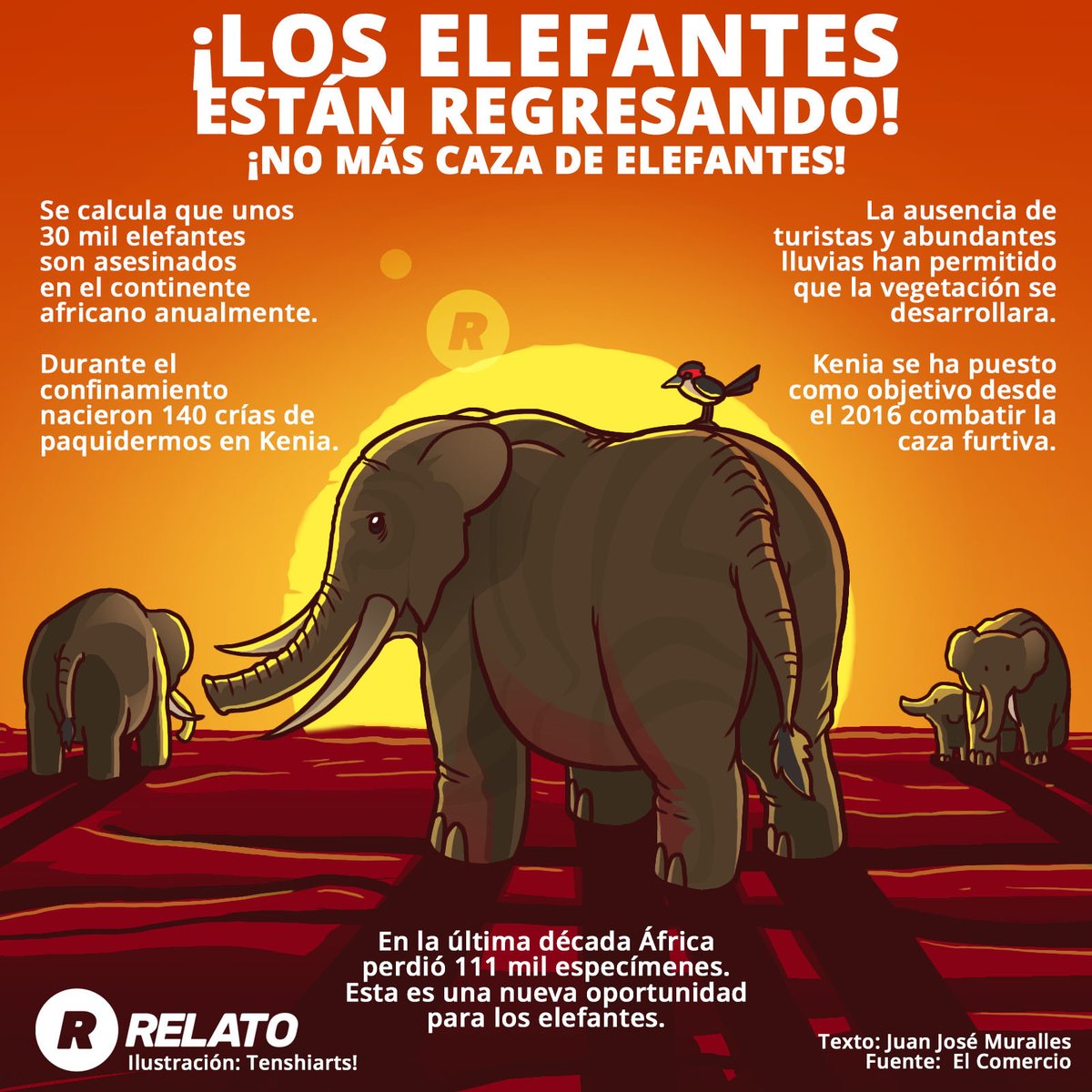 relato_gt's tweet photo. #Actualidad Según la fundación #ElephantProtectionInitiative, la ausencia de turistas por las restricciones de la pandemia ha ayudado al nacimiento de nuevas crías de elefante en Kenia. #Caza #Ilegal #vidaanimal @murallesjj https://t.co/x8qF98b8Rv