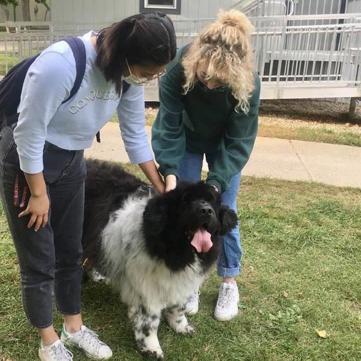 Kenyon College tweet media