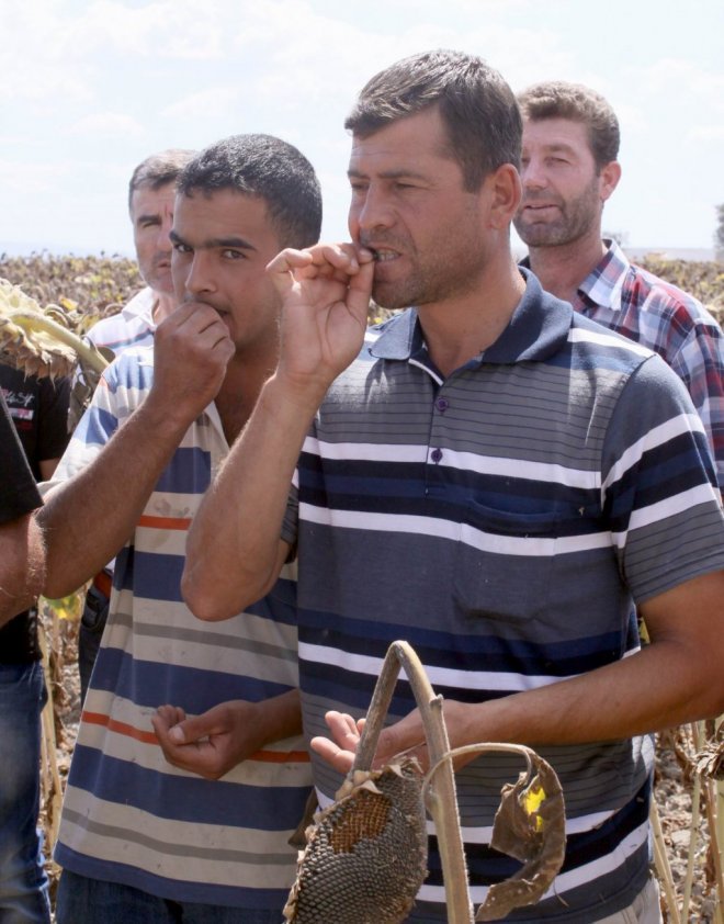 Depremi hissetmeyenler olarak tweetleri okumaya geldik #deprem Marmara