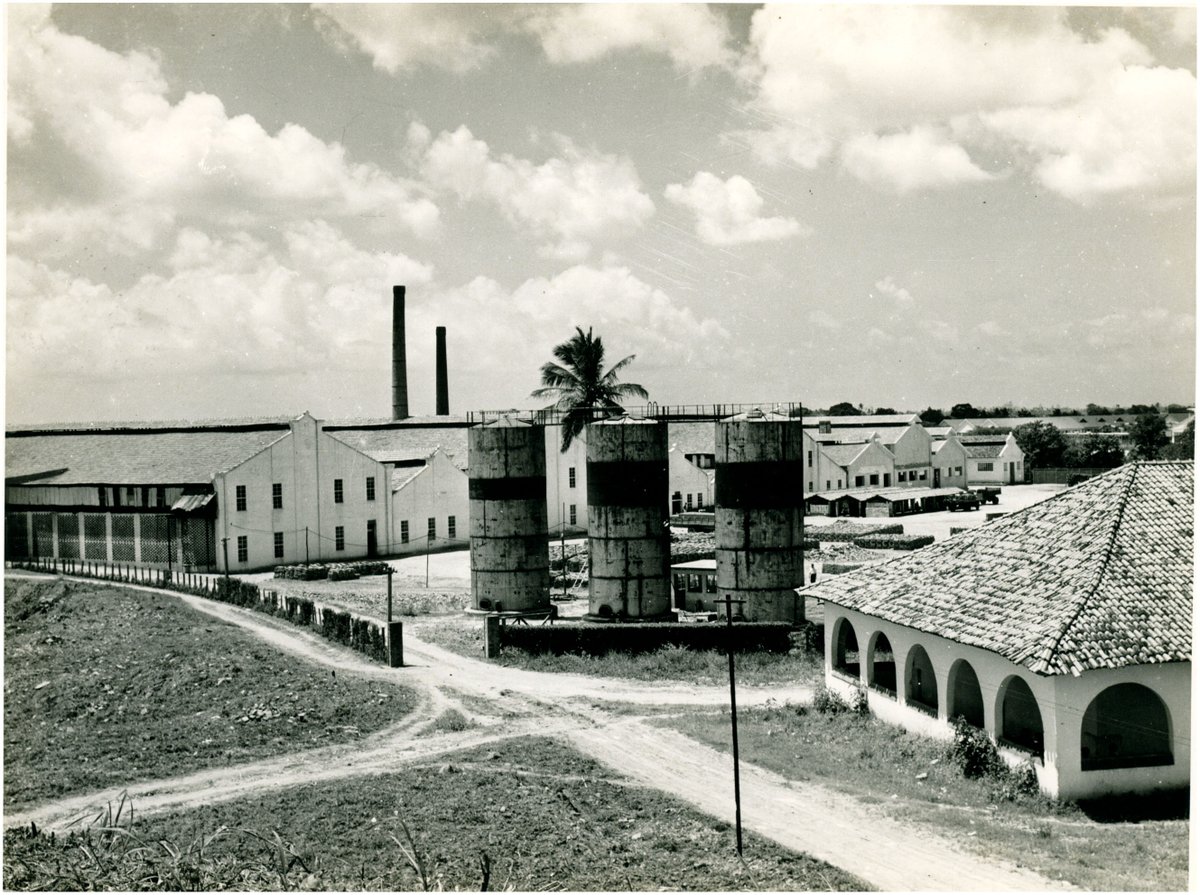 Foi na Usina São João da Várzea, em 1947, que foi construída a Fábrica de Cerâmica Brennand, desativada duas décadas depois e recuperada pelo artista plástico Francisco, em 1971, para criar uma oficina. Ele costumava dizer que a "Várzea é o umbigo do Brasil". +