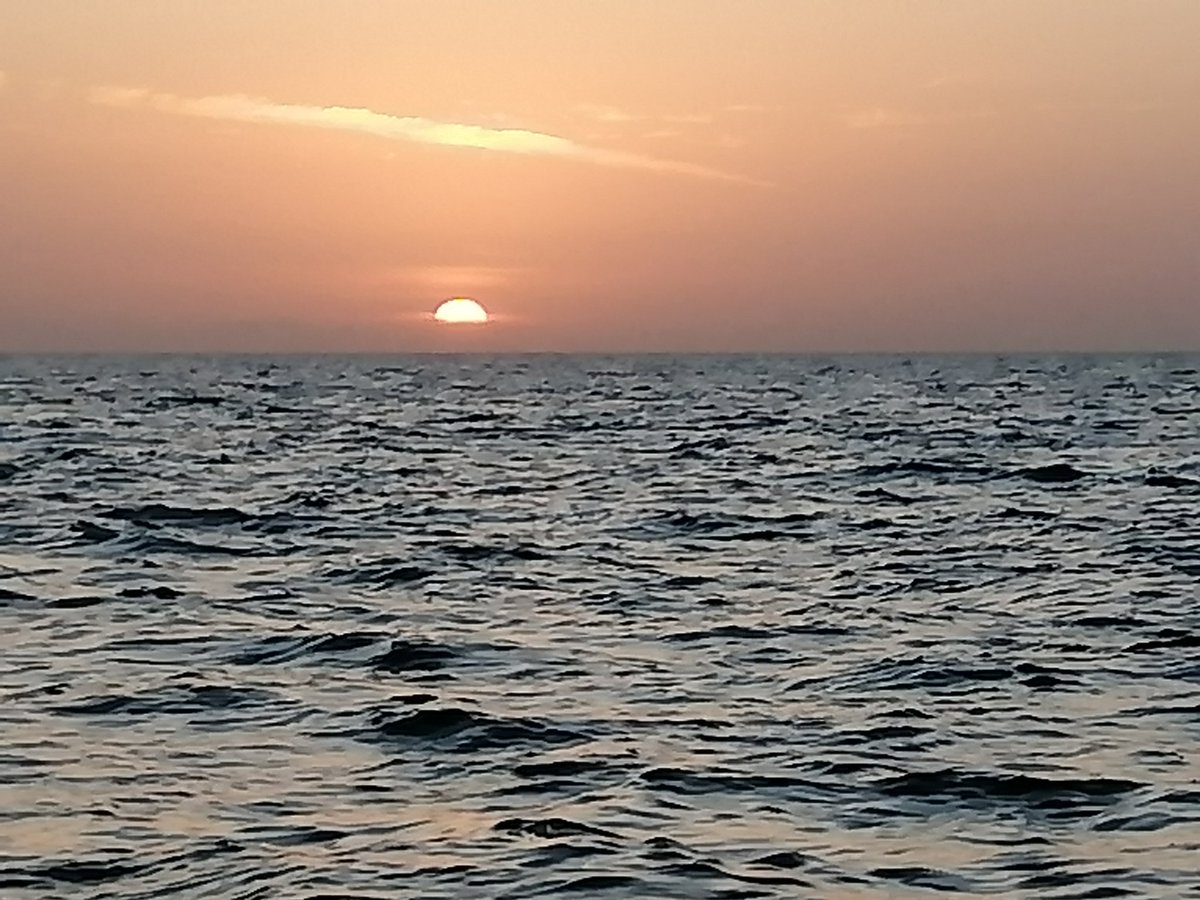 عماني وكلي فخر tweet media