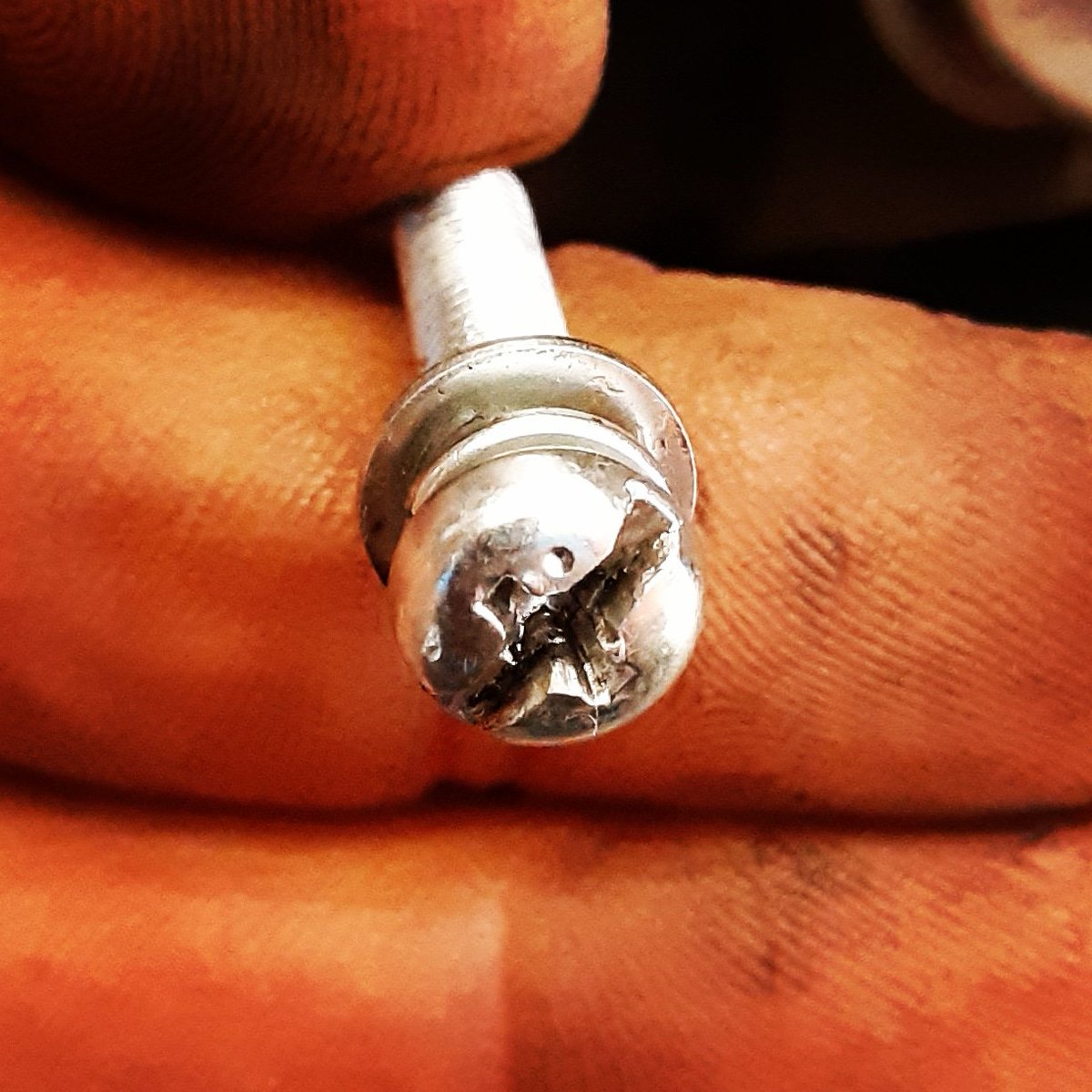 Hector Velazquez tweet media