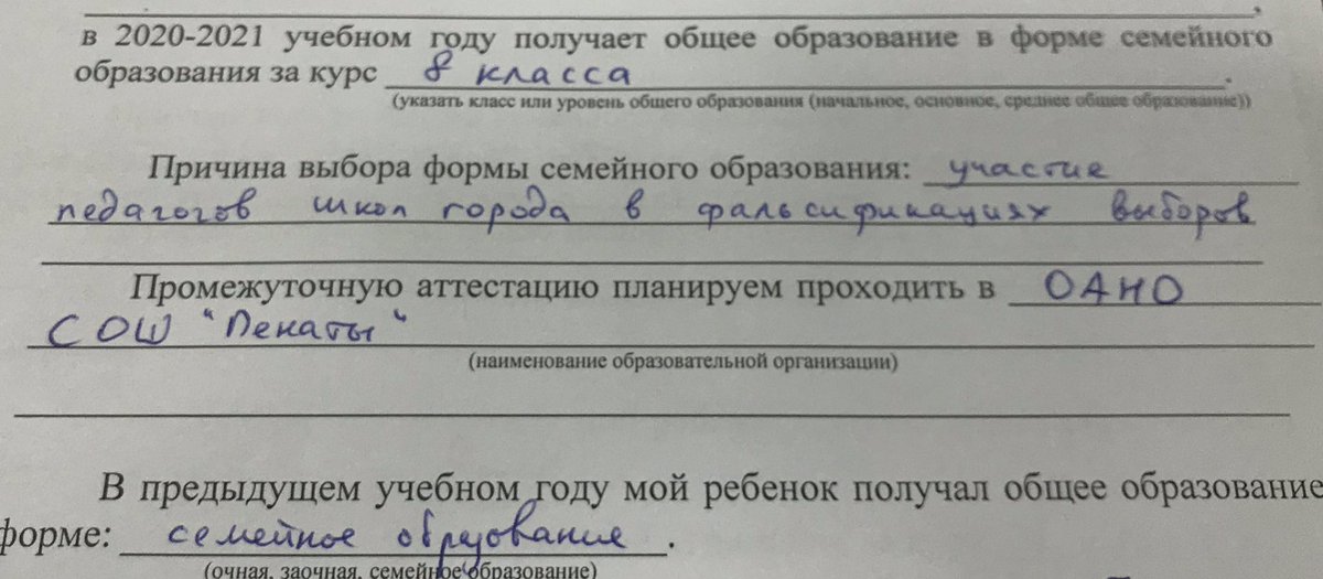 ishukshin's tweet photo. Каждый год подаю заявления в минобразования, где уведомляю их о семейной форме обучения детей, закон обязывает.

Ну и регулярно заполняю причины, почему выбрал не школу. Сами понимаете, что я там пишу :) 
#Геленджик https://t.co/bDiwkX3krE