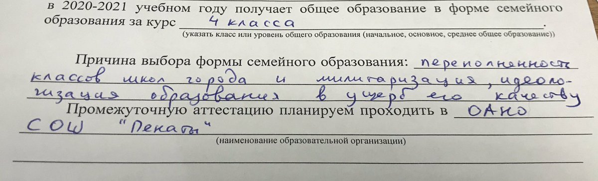 ishukshin's tweet photo. Каждый год подаю заявления в минобразования, где уведомляю их о семейной форме обучения детей, закон обязывает.

Ну и регулярно заполняю причины, почему выбрал не школу. Сами понимаете, что я там пишу :) 
#Геленджик https://t.co/bDiwkX3krE
