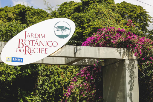 O Jardim Botânico do Recife fica no Curado, que é um dos bairros mais arborizado do Recife. A Zona Oeste, no geral, é bastante arborizada e áreas mais próximas do Jardim são bastante conhecidas pelo clima mais ameno. +