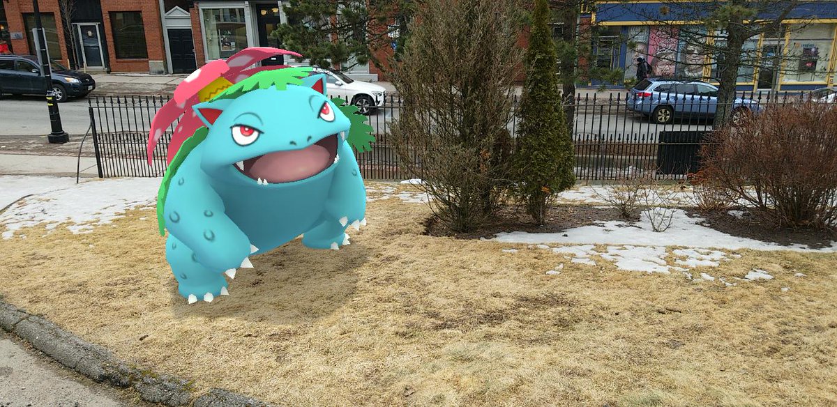Still taking  #GOSnapshot pics of Sprout the  #Venusaur back around the end of winter, we patiently awaited the end of the snowy season for the local plantlife to spring back to life. It felt like it was taking forever this year! #PokemonGO  #PokemonGOARplus  #PokemonGOBuddy